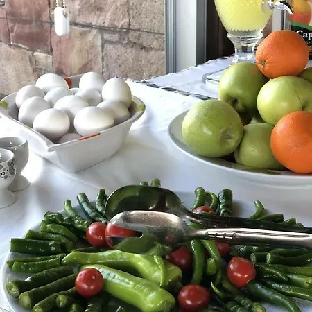 Szálloda Cunda Vrodi Ayvalı